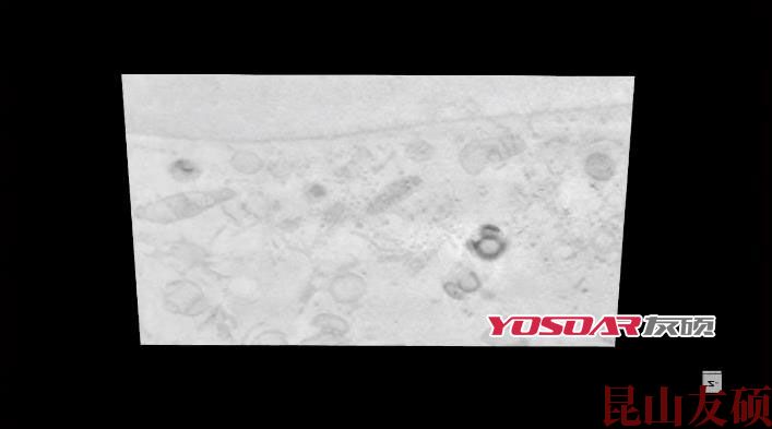 FIB汕尾扫描电镜